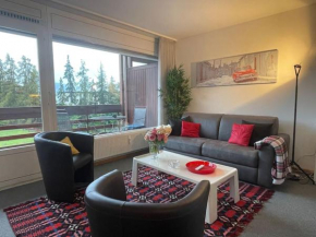 Appartement 2 pièces (55m2) , central et garage
